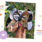 Who Dat Glitter Bows